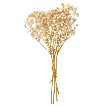 Gipsówka 4 gałązki ok. 20cm natural - Dalprint