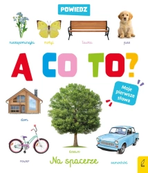 Powiedz a co to ? Na spacerze - opracowanie zbiorowe