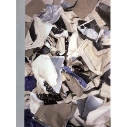 Polityka obrazów. Wybrane prace z lat 1999-2013 - PRACA ZBIOROWA