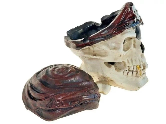 Szkatułka czaszka pirata - ADAR