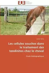 Les cellules souches dans le traitement des tendinites chez le cheval - TAHIER-C