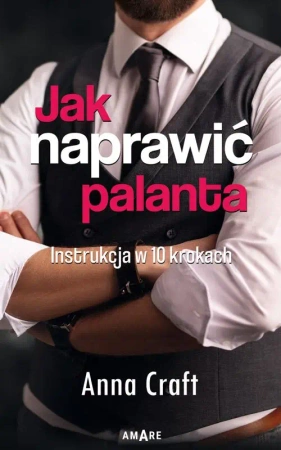 eBook Jak naprawić palanta - Anna Craft mobi epub