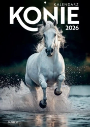 Kalendarz 2026 A4 Wieloplanszowy Konie - O-press