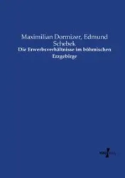 Die Erwerbsverhältnisse im böhmischen Erzgebirge - Dormizer Maximilian