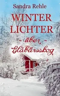 Winterlichter über Blåbärsskog - Sandra Rehle