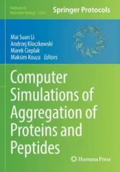 Computer Simulations of Aggregation of Proteins and Peptides - Li Mai Suan