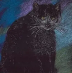 Notes. Kot pastelowy - Emg