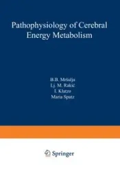 Pathophysiology of Cerebral Energy Metabolism - Mrsulja B. B.