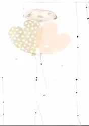 Torebka prezentowa ślubna TŚ-0 AVANTI