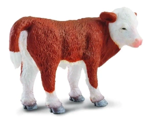 Cielę stojące rasy hereford - Collecta