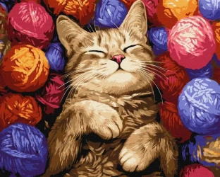 Malowanie po numerach - Kot w plątaninie 40x50cm - Ideyka