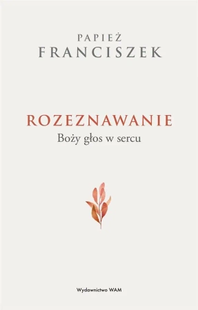 Rozeznawanie. Boży głos w sercu - Franciszek Papież, Agnieszka Dywan