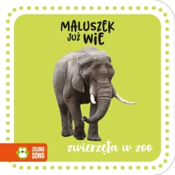 Maluszek już wie. Zwierzęta w zoo - praca zbiorowa