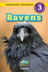 Ravens - Knight AJ
