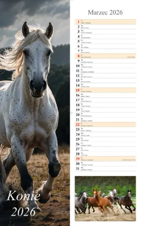 Kalendarz 2026 ścienny pasek Konie - praca zbiorowa