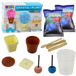 Zestaw edukacyjny hodowla magiczne drzewko - Leantoys
