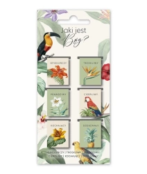 Zakładki Magnetyczne - Jaki jest Bóg - Ptaki - SZARA