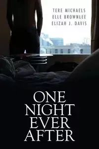 One Night Ever After - Michaels Tere