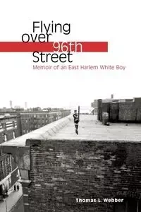 Flying Over 96th Street - Thomas L. Webber