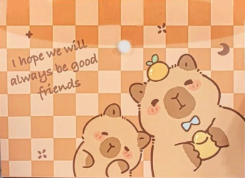 Teczka A4 kopertowa na zastrzask - kapibara kratka - Dalprint