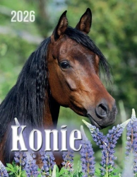 Kalendarz 2026 wieloplanszowy 34x44cm Podróże - Artsezon