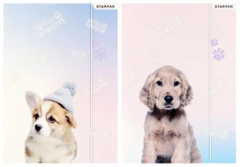 Teczka z gumką A4 pieski - STARPAK