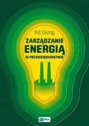 Zarządzanie energią w przedsiębiorstwie - Kit Oung