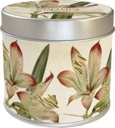 Zapachowa świeczka 202 - amarylis - zapach jabłko - Skona Ting