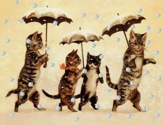 Karnet mini brokat z kopertą Święta Kotki - Madame Treacle