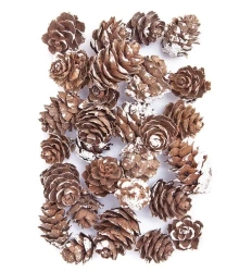 Mini szyszki bielone 25g - Dalprint dpCraft