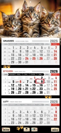 Kalendarz 2026 trójdzielny płaska główka kotki - Pan Kalendarzyk