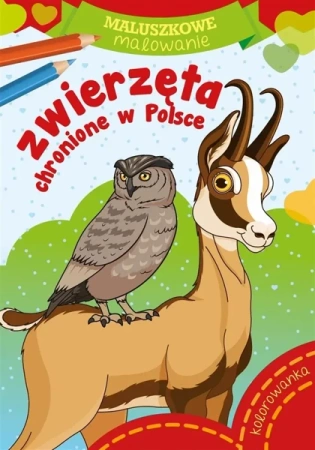 Maluszkowe malowanie. Zwierzęta chronione w Polsce - Wydawnictwo Skrzat