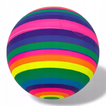 Piłka gumowa 6szt/siatka Z10334 81265