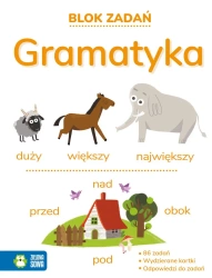 Blok zadań. Gramatyka 9+ - Opracowanie zbiorowe