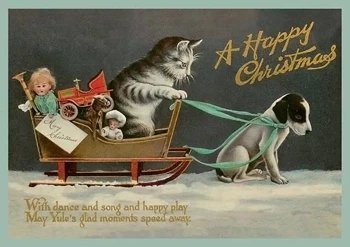 Karnet ST467 B6 + koperta Kot i pies Święta Bożego - Skona Ting