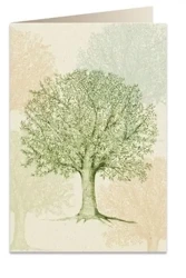 Karnet B6 + koperta 6094 Wiązowiec południowy - Tassotti