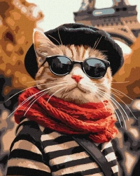 Malowanie po numerach - Puszysty w Paryżu 40x50cm - Ideyka