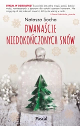 eBook Dwanaście niedokończonych snów - Natasza Socha epub mobi