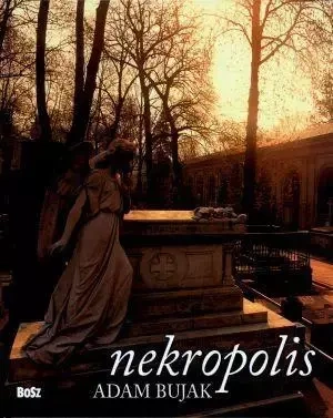 Nekropolis - Jacek Kolbuszewski, Adam Bujak (fot.)