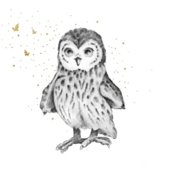 Karnet złocony kwadrat CL3822_BL Sowa - Clear Creations