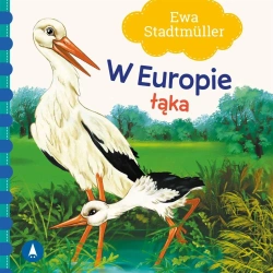 W Europie. Łąka - Ewa Stadtmller