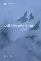 Still Working It Out - Davis Brad