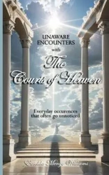 Unaware Encounters with the Courts of Heaven - Williams Emelda Menge