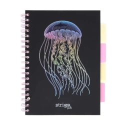 Kołozeszyt Pads B5/100K kratka Głębiny Meduza - Strigo