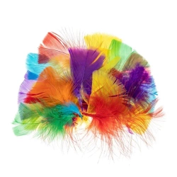 Piórka indycze trójkątne 5-10cm - Brewis