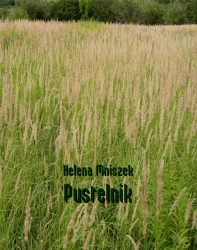 eBook Pustelnik - Helena Mniszek epub mobi