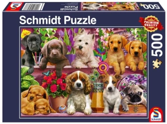 Puzzle PQ 500 Psy na półce G3 - Schmidt