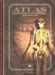 Atlas anatomii człowieka - Adam Zborowski