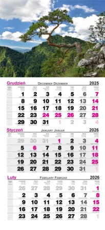 Kalendarz 2026 ścienny trójdzielny Pieniny - Radwan