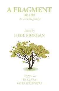 A Fragment of Life - Morgan Hebe